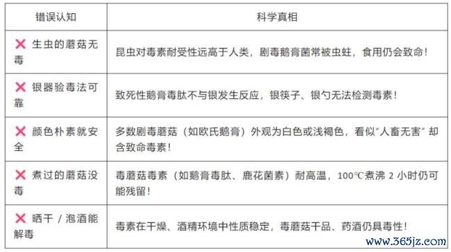 北京地区毒蘑菇安全谨防指南 警惕“菇勇者”罗网