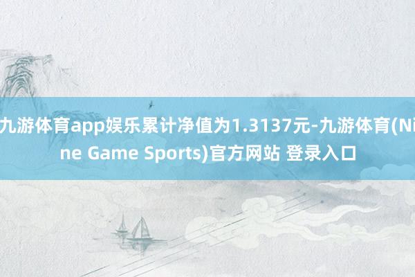 九游体育app娱乐累计净值为1.3137元-九游体育(Nine Game Sports)官方网站 登录入口