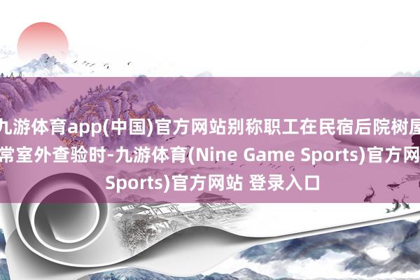 九游体育app(中国)官方网站别称职工在民宿后院树屋隔邻作念日常室外查验时-九游体育(Nine Game Sports)官方网站 登录入口