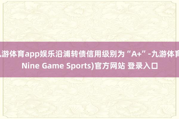九游体育app娱乐沿浦转债信用级别为“A+”-九游体育(Nine Game Sports)官方网站 登录入口