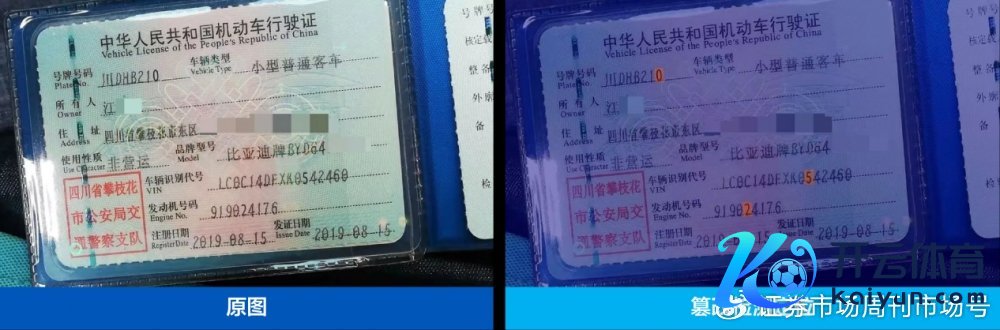 图说：合合信息图像改变检测技巧定位行驶证作秀位置