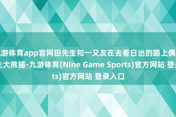 九游体育app官网田先生和一又友在去看日出的路上偶遇了野生大熊猫-九游体育(Nine Game Sports)官方网站 登录入口